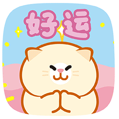 微信表情【蛋黄猫24】上线