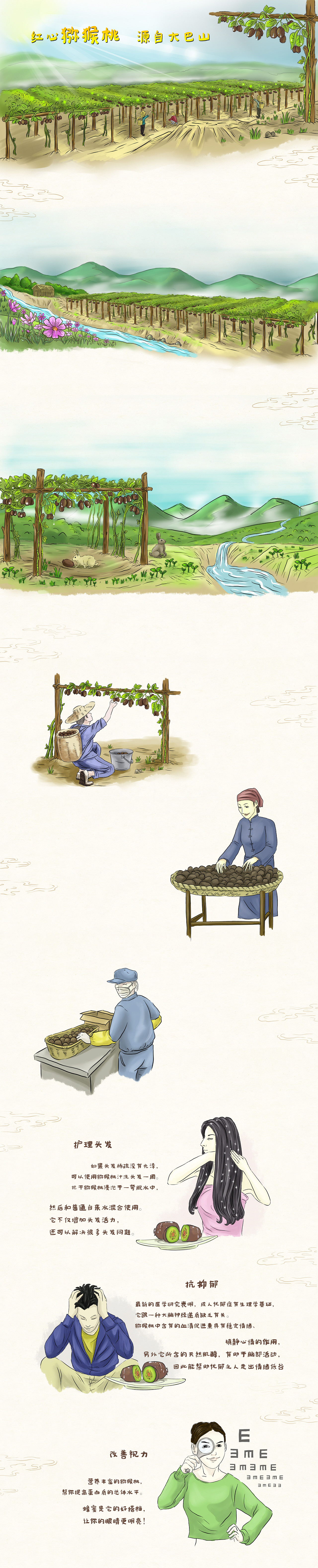 手绘详情页（图ZOTc4MzA0NDg=） - 商业插画 - 站酷设计师杨高兴0707原创素材 - 站酷ZCOOL