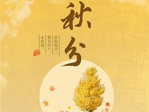 二十四节气之秋分海报