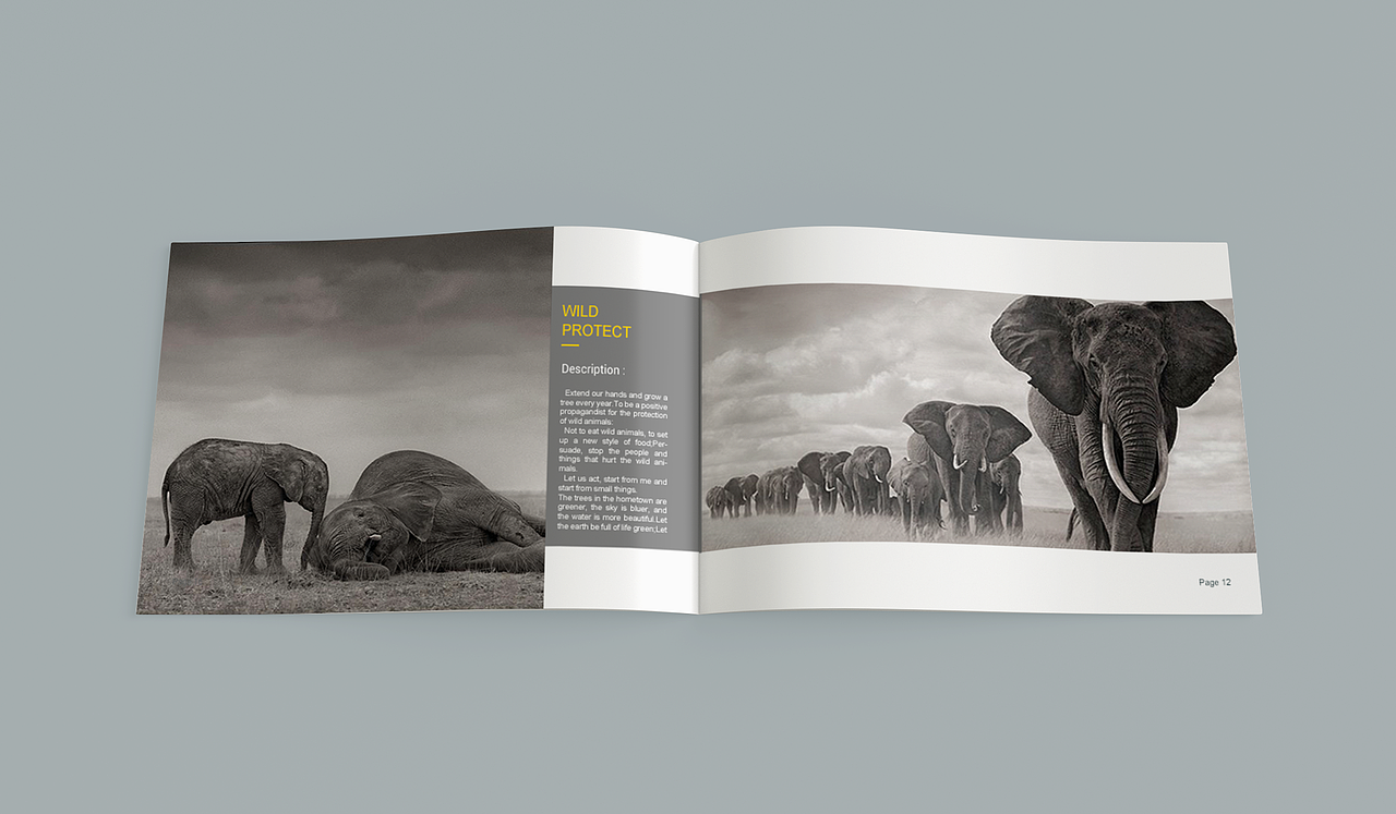 wildlife protect 宣传册