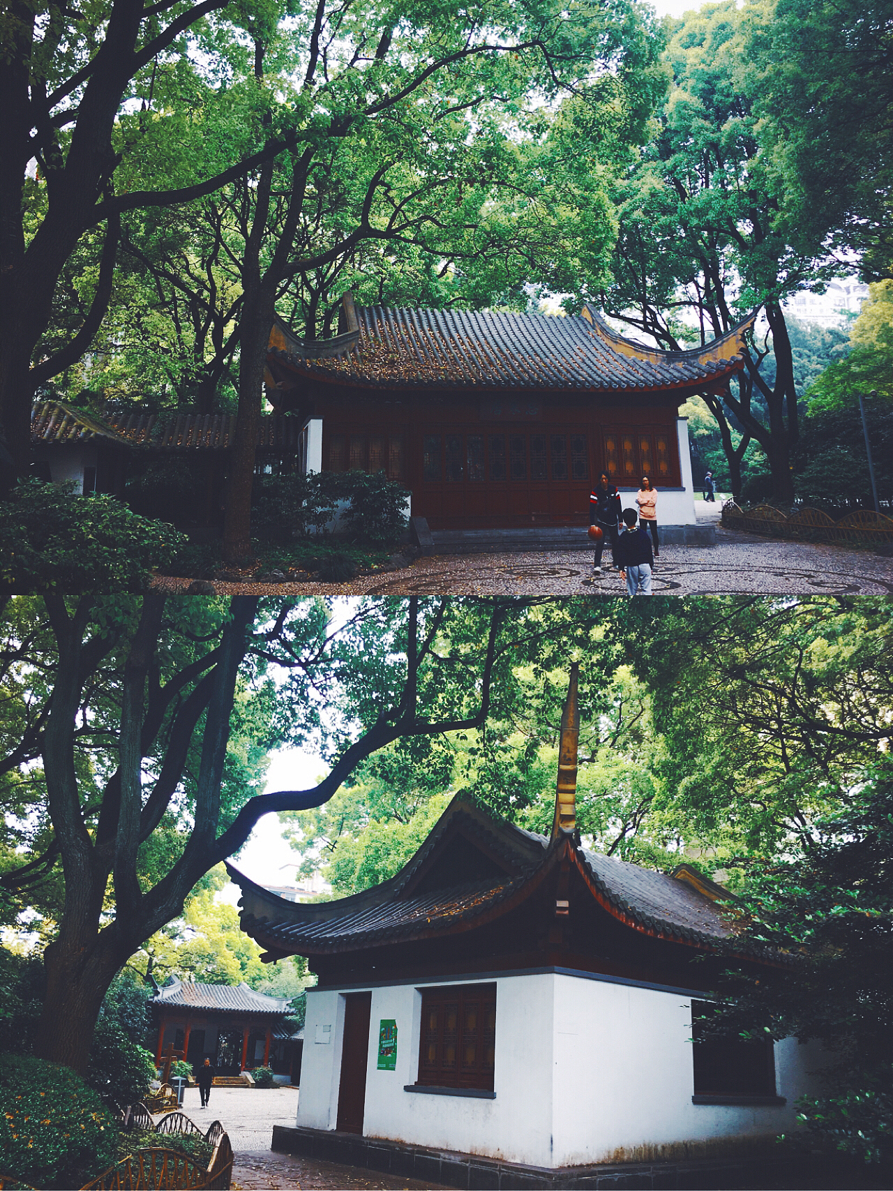 探寻上海市区内的园林公园