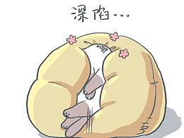 猫的日常