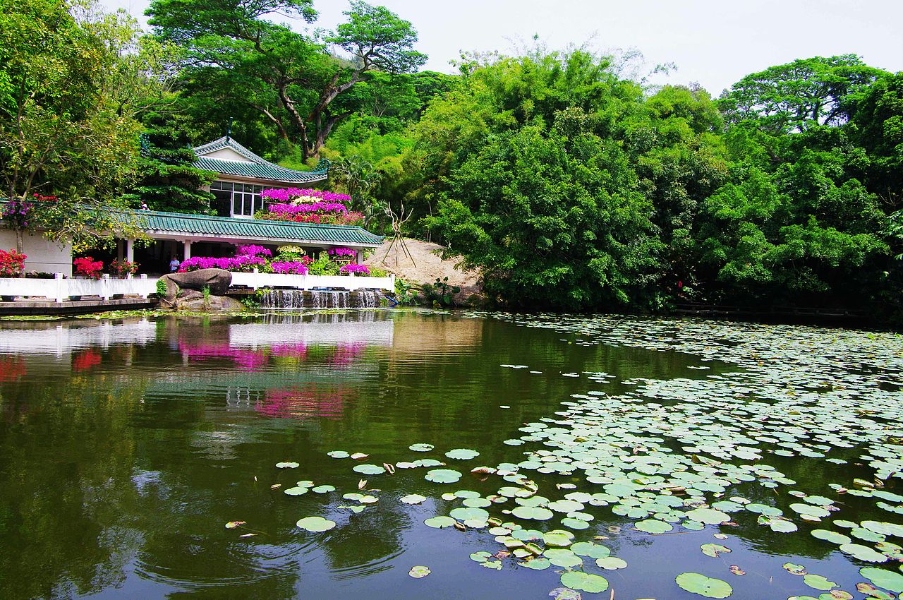 綠（圖ZNDg4MzY4ODQ=） - 風(fēng)光攝影 - 站酷設(shè)計(jì)師特大號(hào)小米蟲原創(chuàng)素材 - 站酷ZCOOL