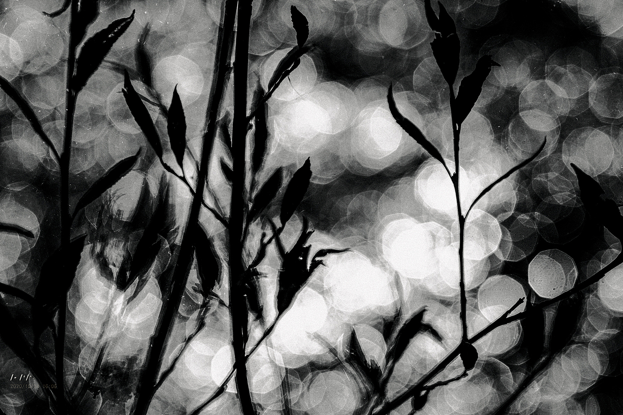 成都-甘孜自治州