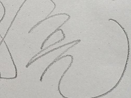 魏海亮签名与王小一的故事