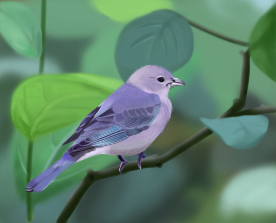 junus的個(gè)人主頁（封面預(yù)覽） - 主頁封面設(shè)置 - 站酷設(shè)計(jì)師junus原創(chuàng)素材 - 站酷ZCOOL