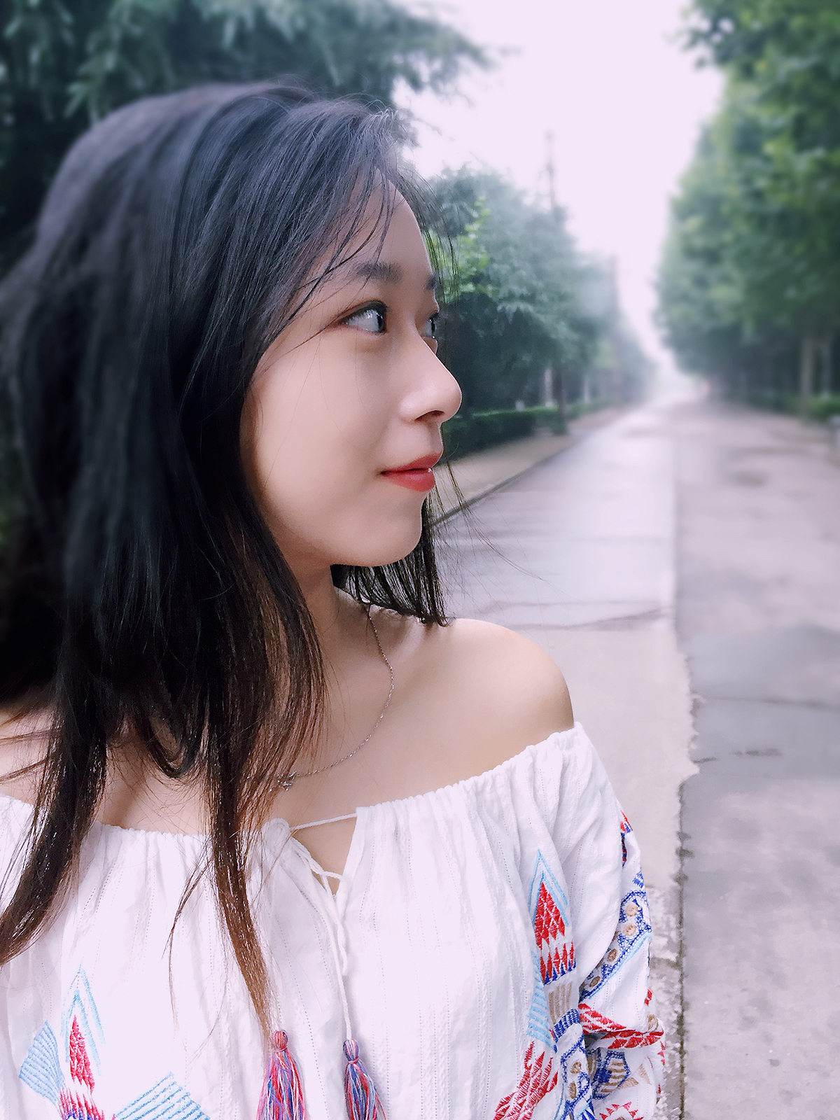 清晨的绿洲清晨的你