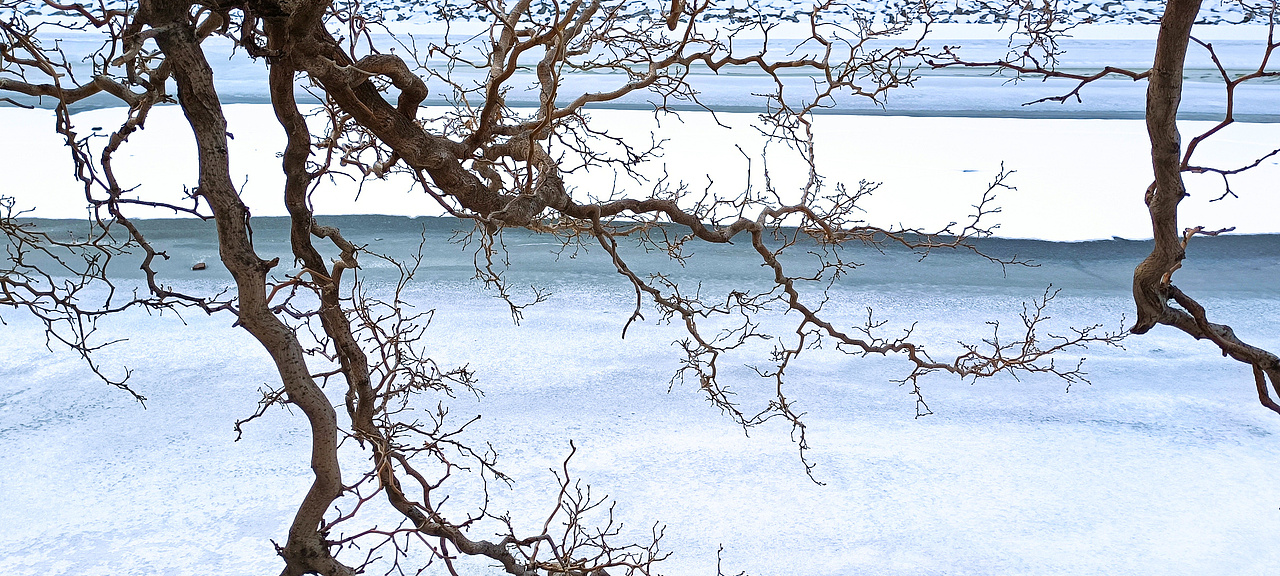 冰雪 树枝（图ZMjg2MzYwODUy） - 风光摄影 - 站酷设计师设计师一大秦原创素材 - 站酷ZCOOL