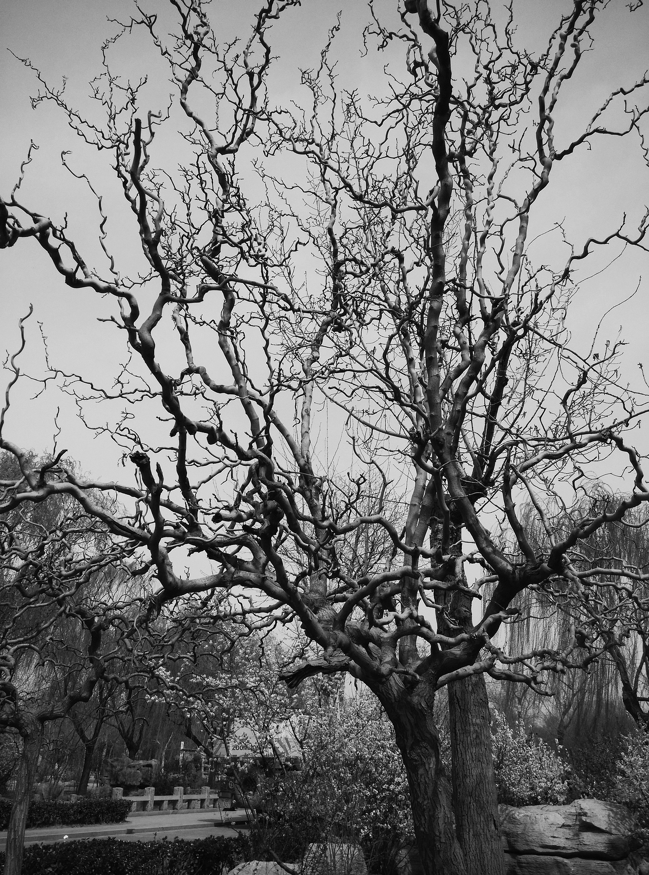 自由（图ZMjc0MjQyNjQ=） - 环境/建筑摄影 - 站酷设计师twinkle1110原创素材 - 站酷ZCOOL