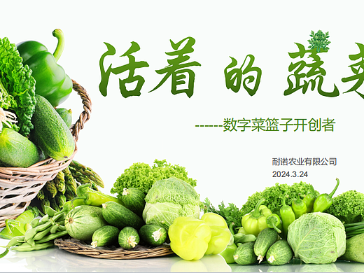 2024活着的蔬菜数字菜篮子项目简介合作手册-37P