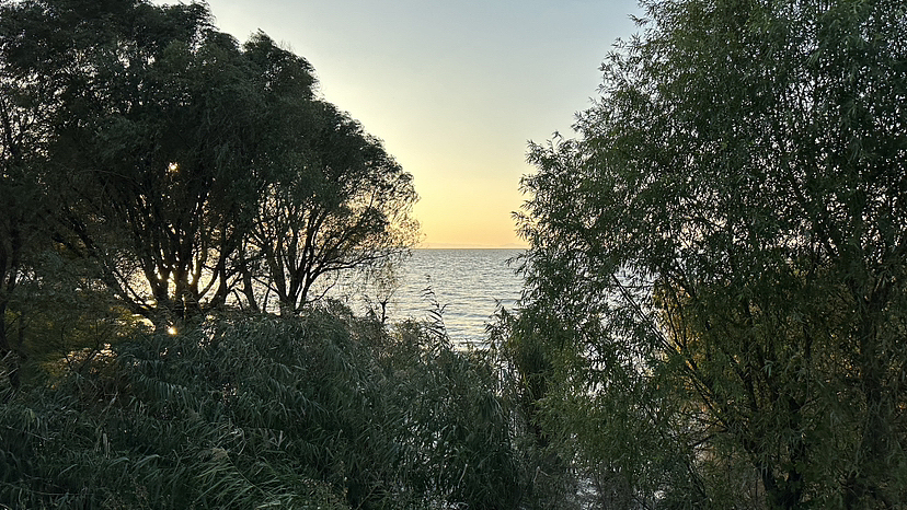 一些手機攝影作品（圖ZMzU0MDAxMDE2） - 人文/紀實攝影 - 站酷設(shè)計師LaBalena落落原創(chuàng)素材 - 站酷ZCOOL