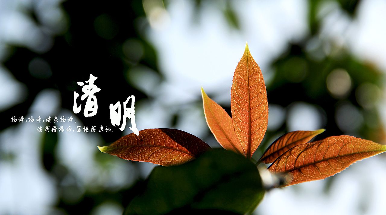 大桥下的石头（图ZODkzMzk0MA==） - 风光摄影 - 站酷设计师半道子原创素材 - 站酷ZCOOL
