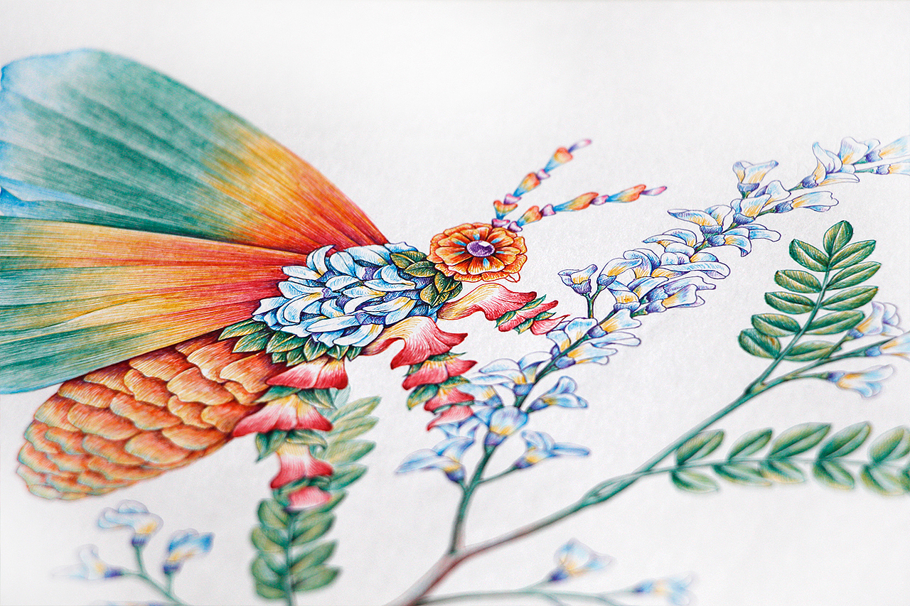 蜂蜜包装插画（图ZOTA0NTgzNjg=） - 商业插画 - 站酷设计师舒展原创素材 - 站酷ZCOOL