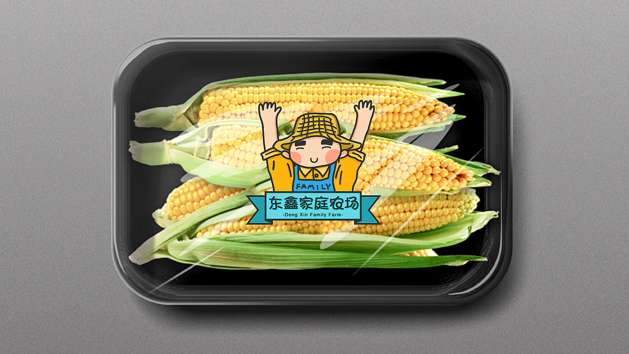 标志设计 东鑫家庭农场(飞机稿)