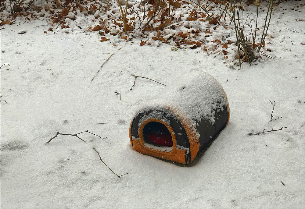 刘勇良纪实摄影:2019北京雪