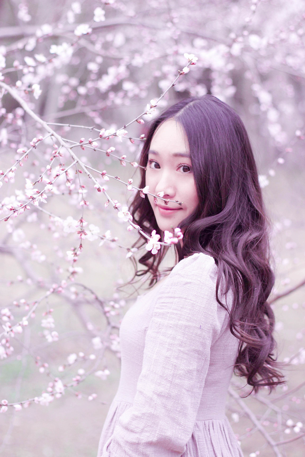 sakura 樱花（图ZNDUwMjg5MjQ=） - 人像摄影 - 站酷设计师有一个落落原创素材 - 站酷ZCOOL