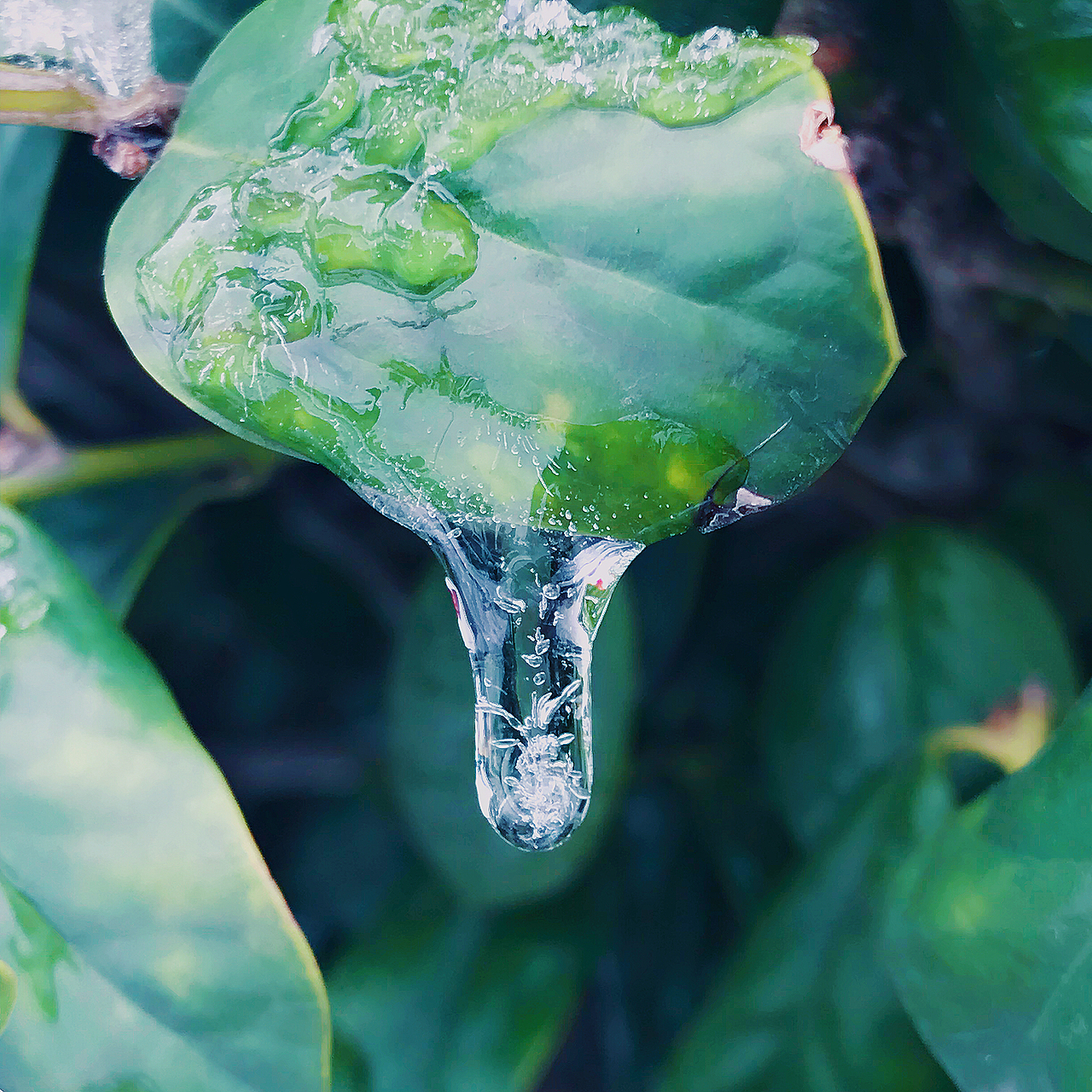 冬天里的童话世界