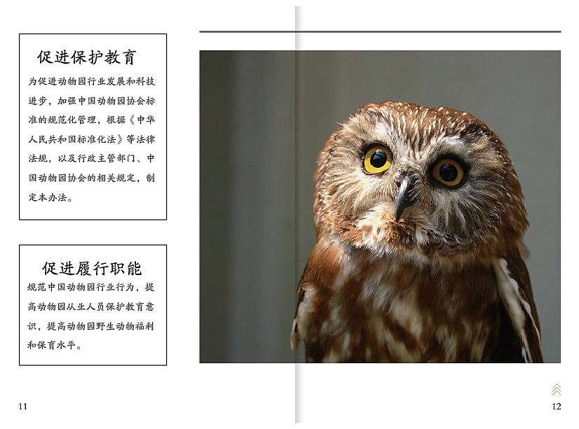 画册（图ZMTgwMTU3Mzgw） - 书籍/画册 - 站酷设计师cl青晓原创素材 - 站酷ZCOOL