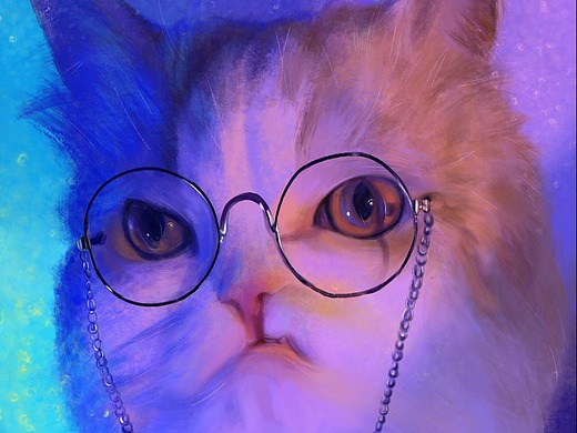 尼莫—网红猫 写实风插画习作