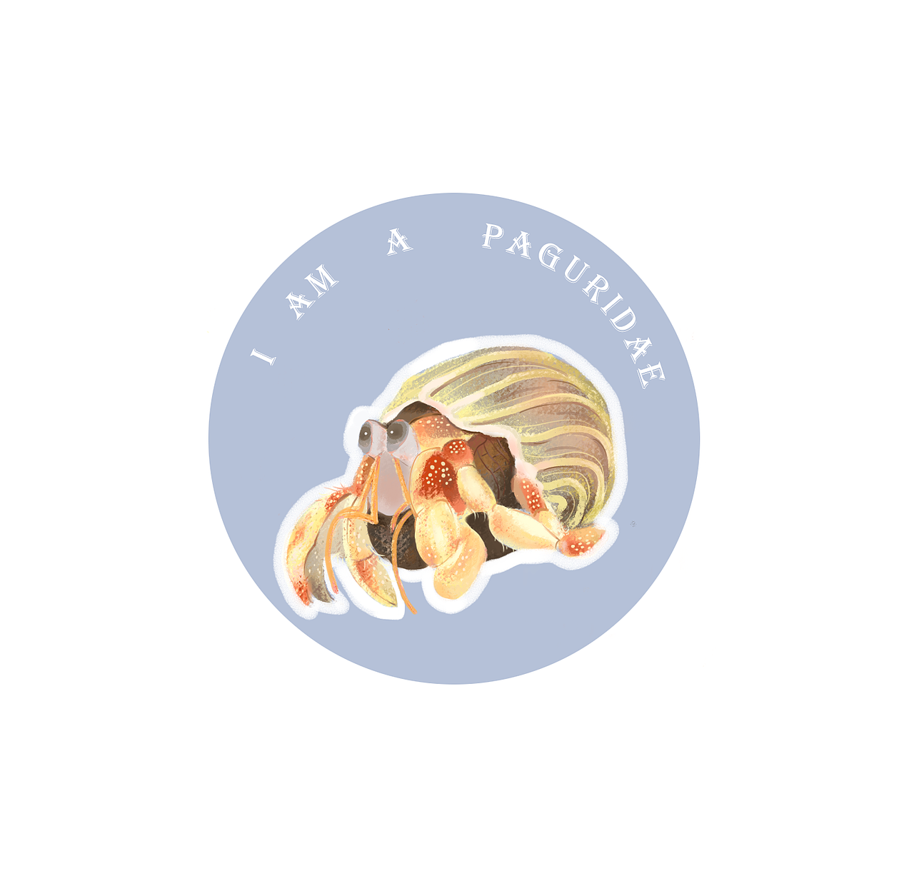 寄居蟹|插画|创作习作|未名名名_原创作品-站酷(zcool)