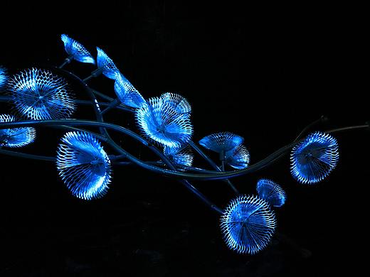 新媒体互动艺术装置：「花影 Flower Shadows」