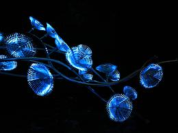 拈花湾