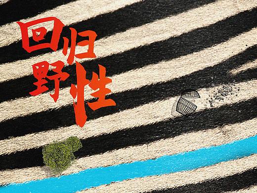 公益 · 回归野性