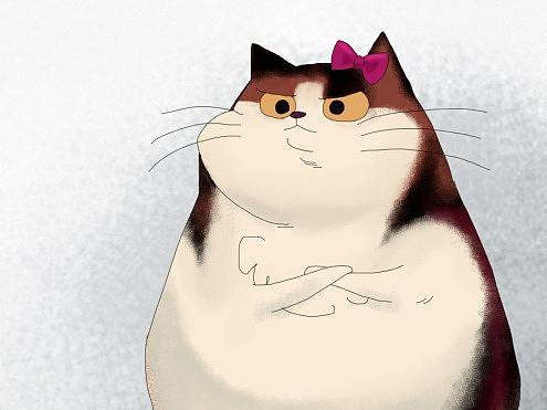 #2020青春答卷#  《猫岛》