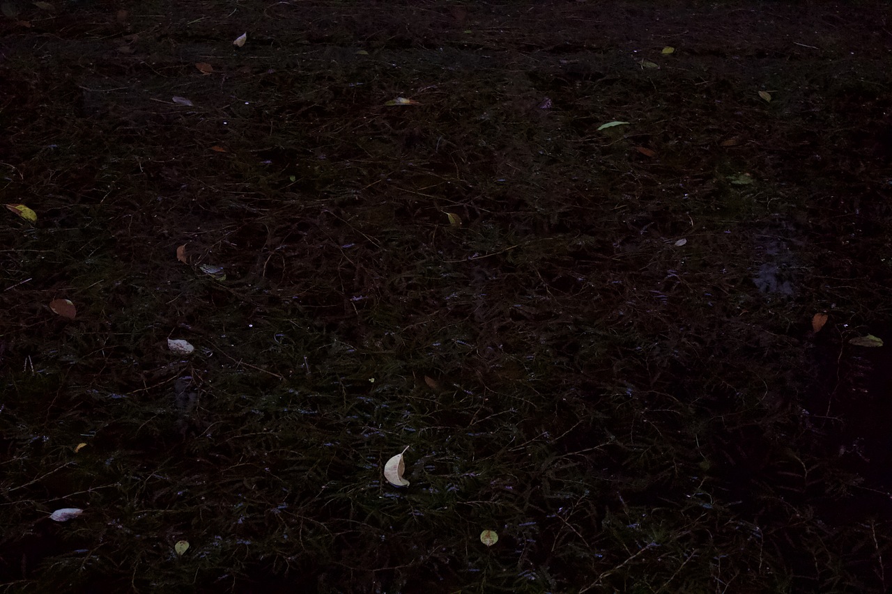 少玩手机,多看世界