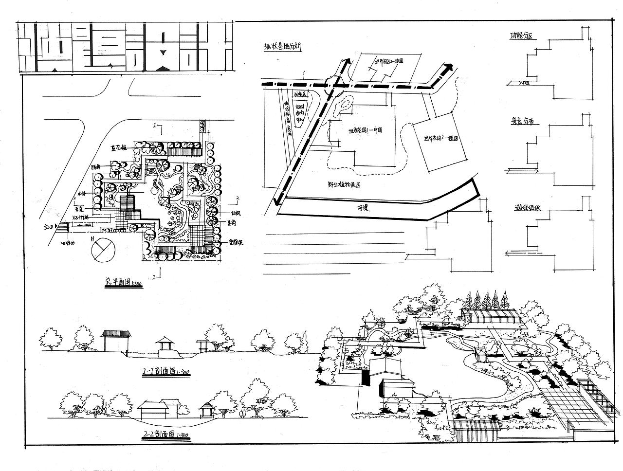 园林快题黑白线稿设计(一)重庆/平面设计师/1年前/111浏览原来大象不