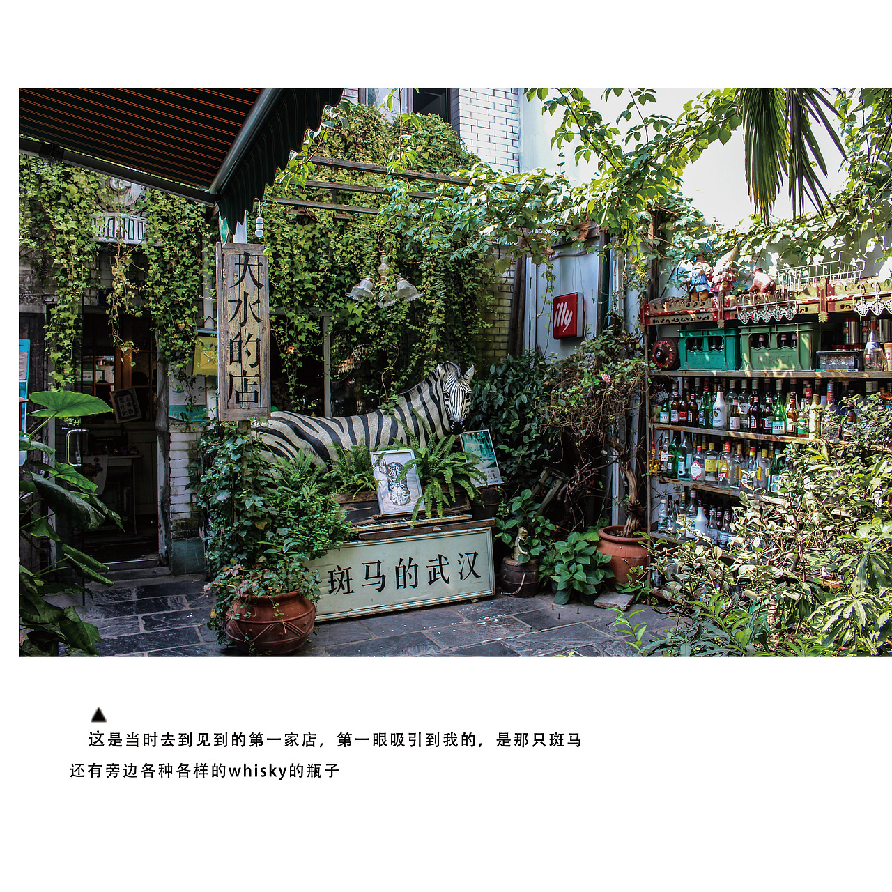 画册设计—摄影画册