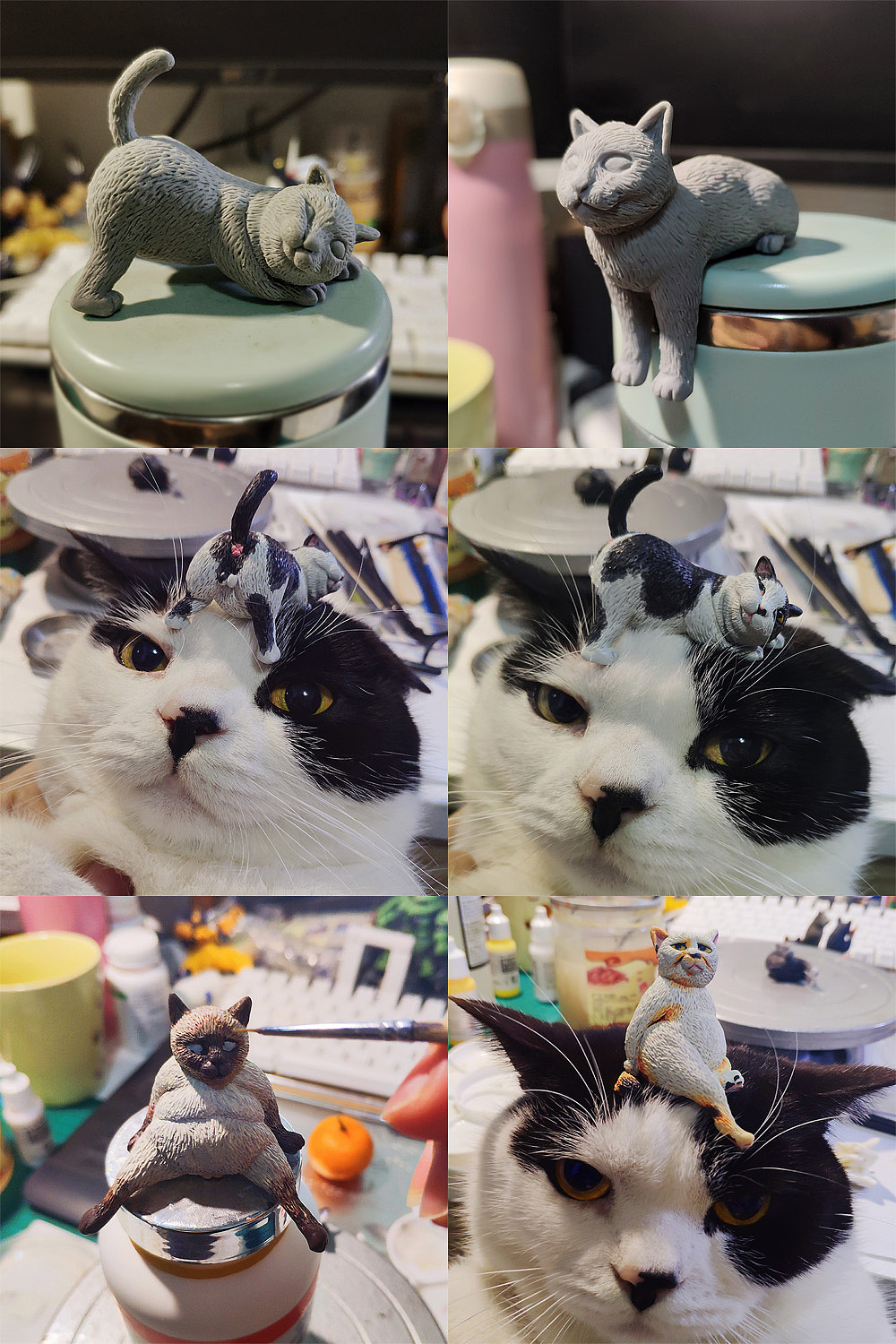 6只小咪：这泡面我们能压一年鸭！（图ZMTQ4ODM3MzY4） - 手办/模玩 - 站酷设计师WMM王麦麦原创素材 - 站酷ZCOOL
