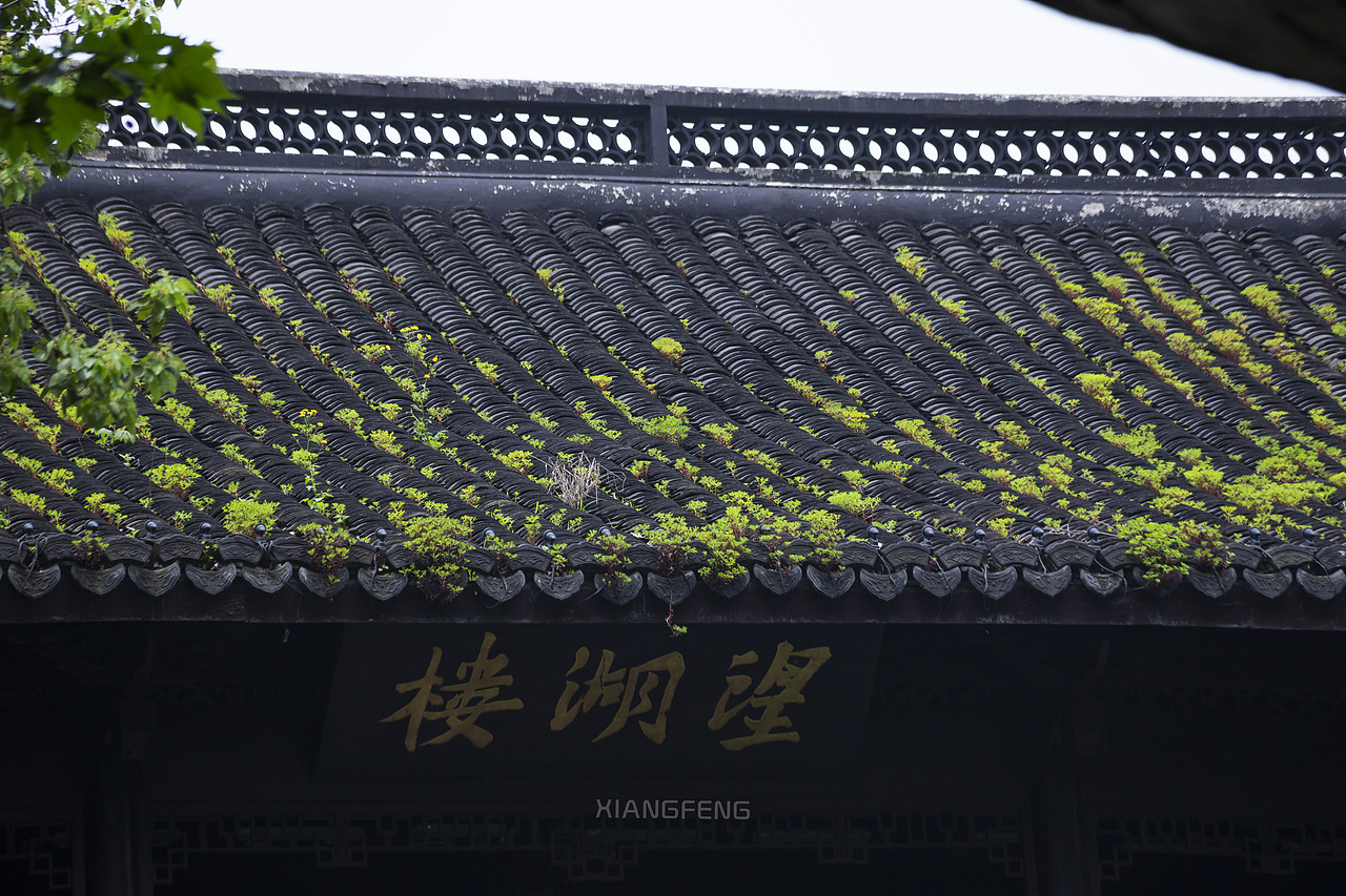 我的100张照片(照片版)