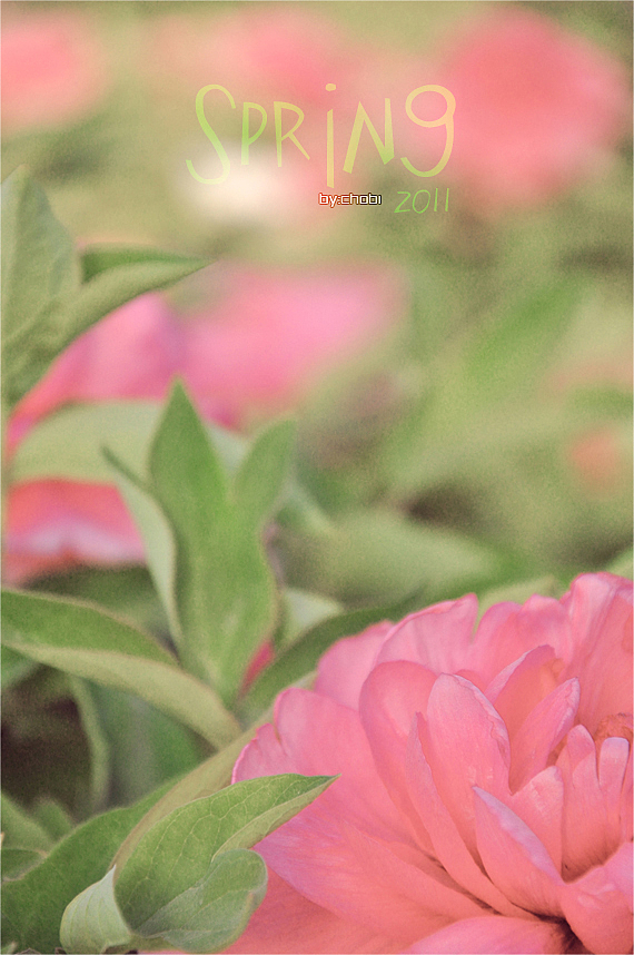 春天的随便乱照（图ZMjk5MjY2OA==） - 风光摄影 - 站酷设计师chobi原创素材 - 站酷ZCOOL