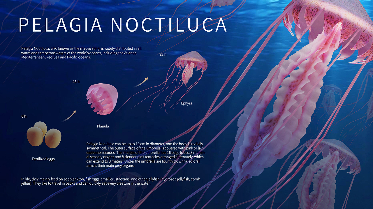 医学插画类3D练习整理