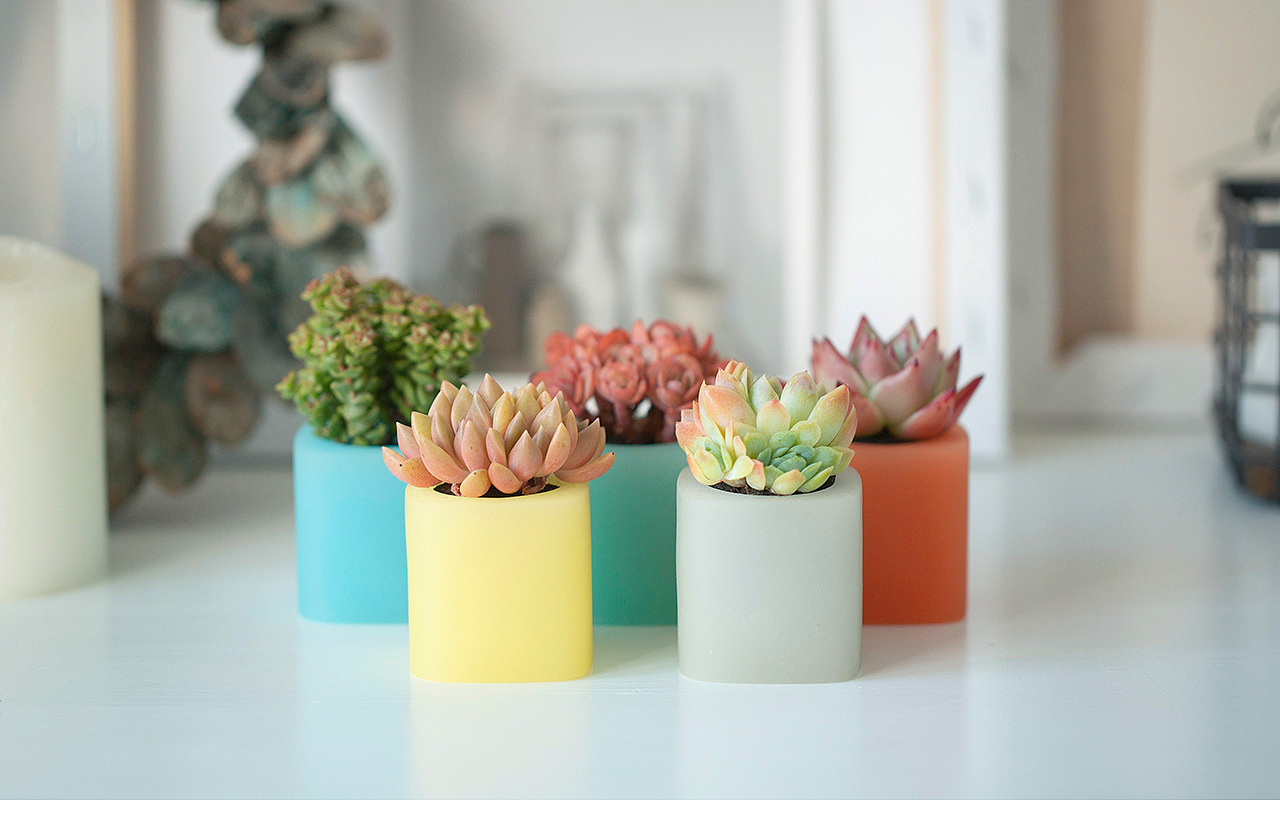 三款INS风家居无土栽培多肉植物-产品摄影（图ZMTMzNTk2Njc2） - 产品摄影 - 站酷设计师Pazza大安原创素材 - 站酷ZCOOL