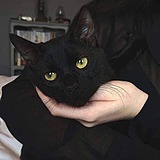 TmatImrU的头像