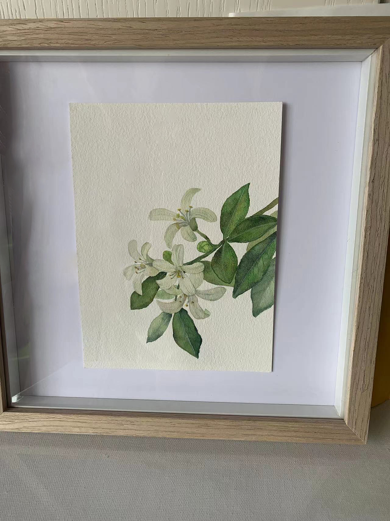 水彩七里香（圖ZMjk0MDY4Mzc2） - 商業(yè)插畫 - 站酷設(shè)計(jì)師小閑插畫原創(chuàng)素材 - 站酷ZCOOL