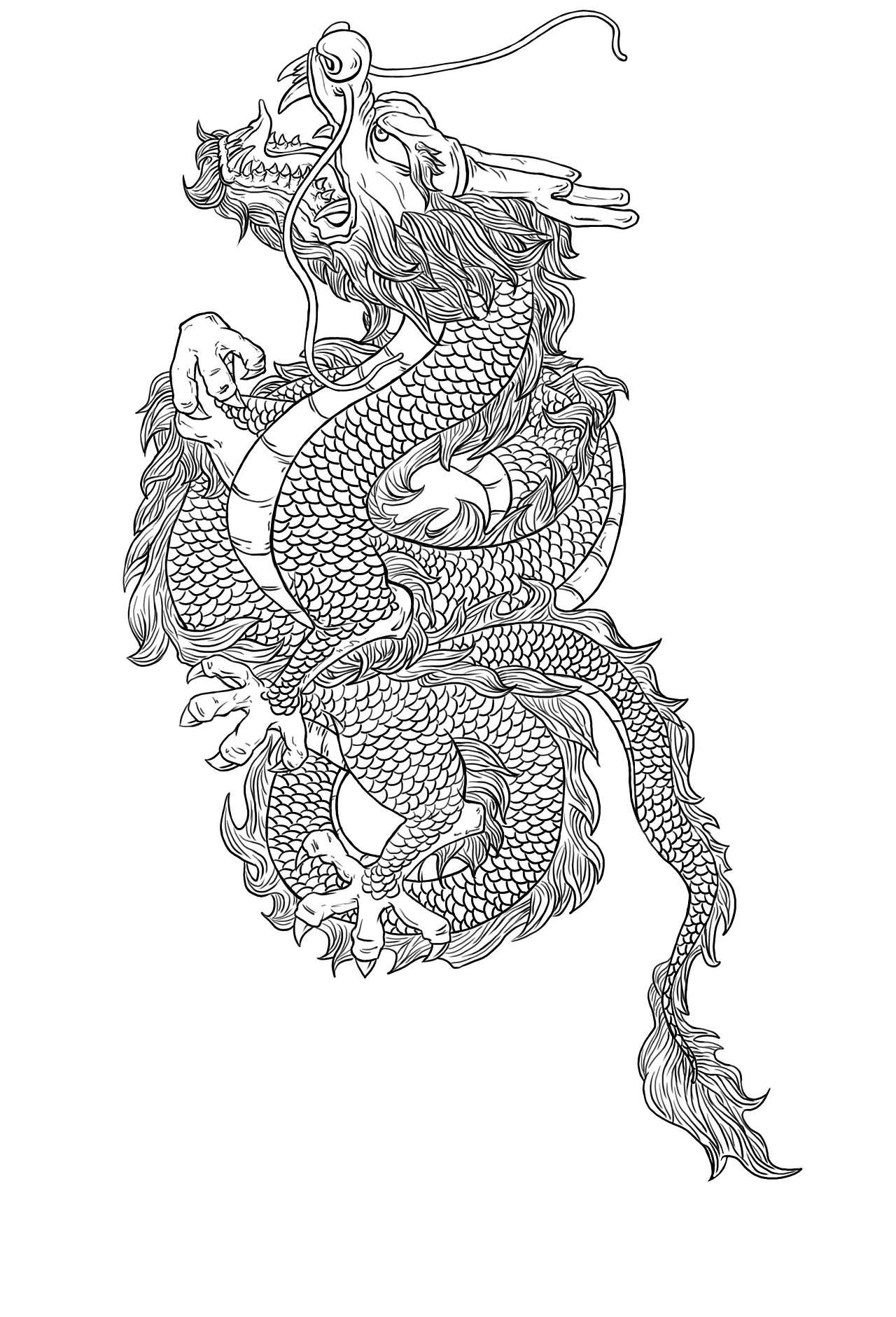 龙线稿