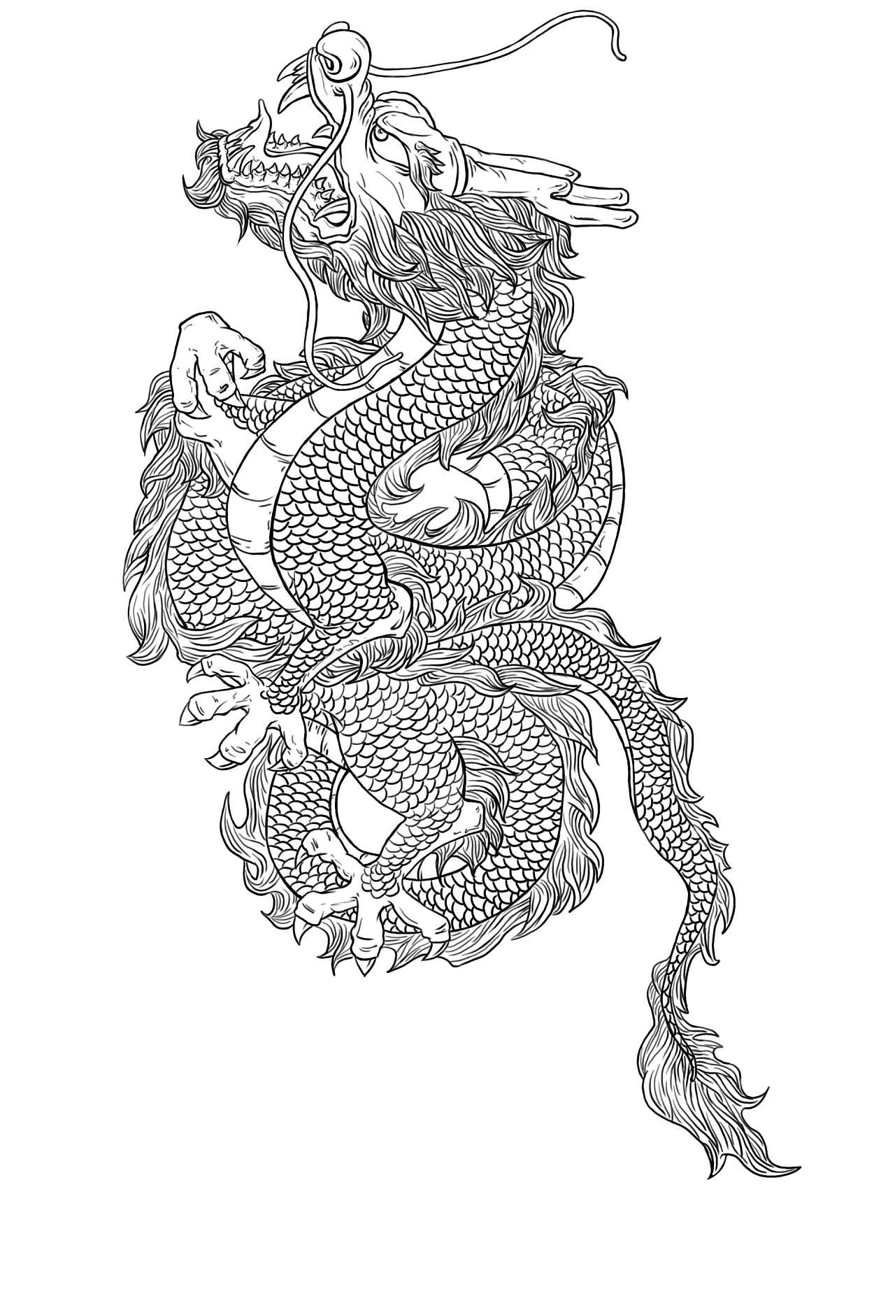 龙线稿 - 原创作品 - 站酷(zcool)