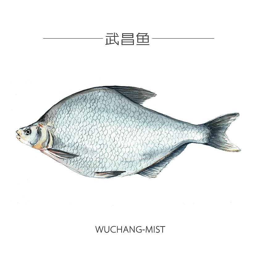 人类食谱-海鲜（图ZMzY4MDkzMjA=） - 商业插画 - 站酷设计师反派放映原创素材 - 站酷ZCOOL