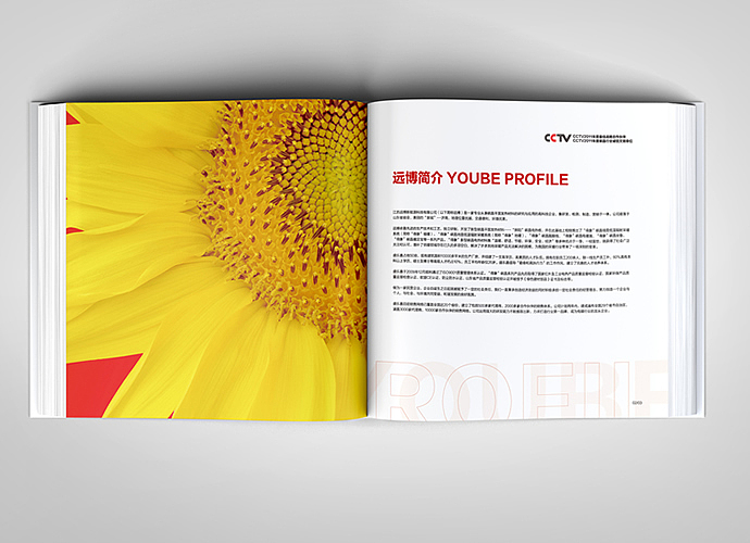 狮阳碳晶采暖画册策划设计