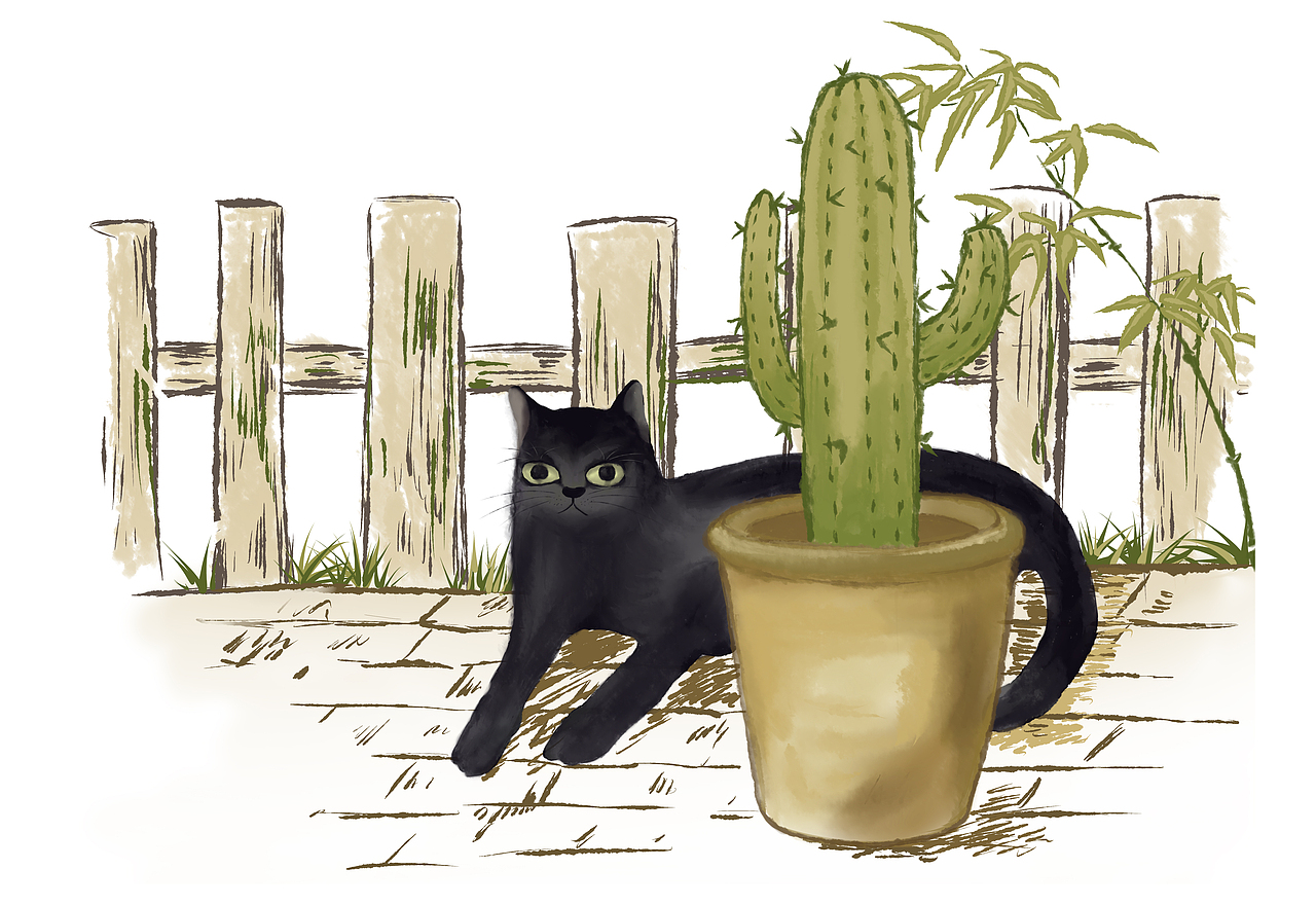 猫咪跟仙人掌