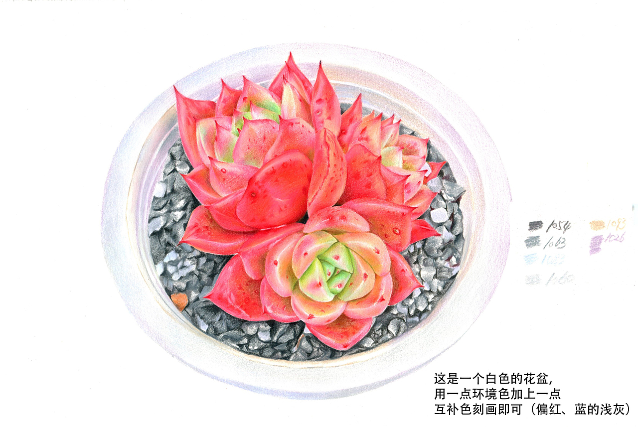 彩铅多肉教程（图ZMTQ4MTY1ODA4） - 绘画 - 站酷设计师拾光者Art原创素材 - 站酷ZCOOL
