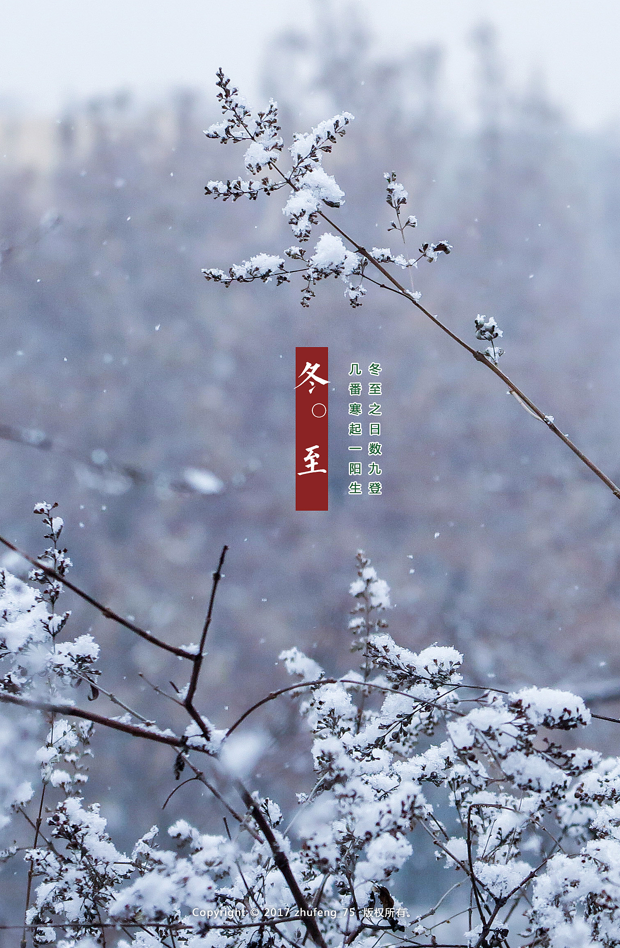 朱峰摄影作品之《二十四节气(2017)》(竖版)