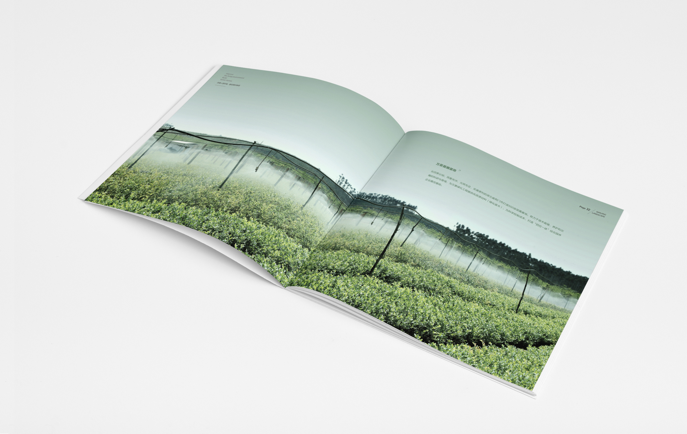 |园林景观画册| 版式设计|平面|书籍/画册|DAYU大鱼创艺 - 原创作品 - 站酷 (ZCOOL)