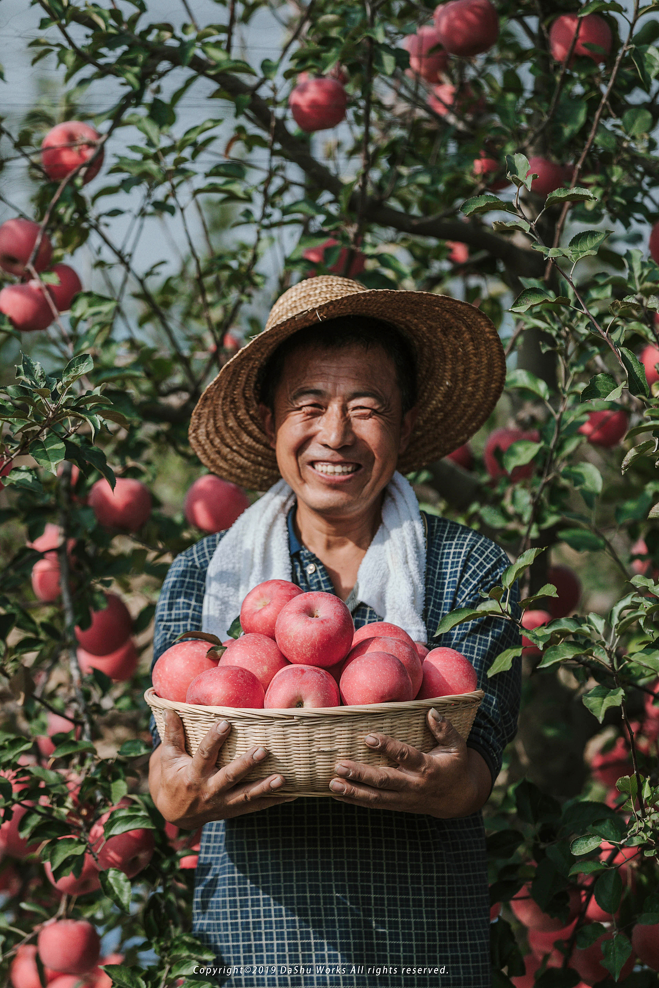 秋天,收获的季节.