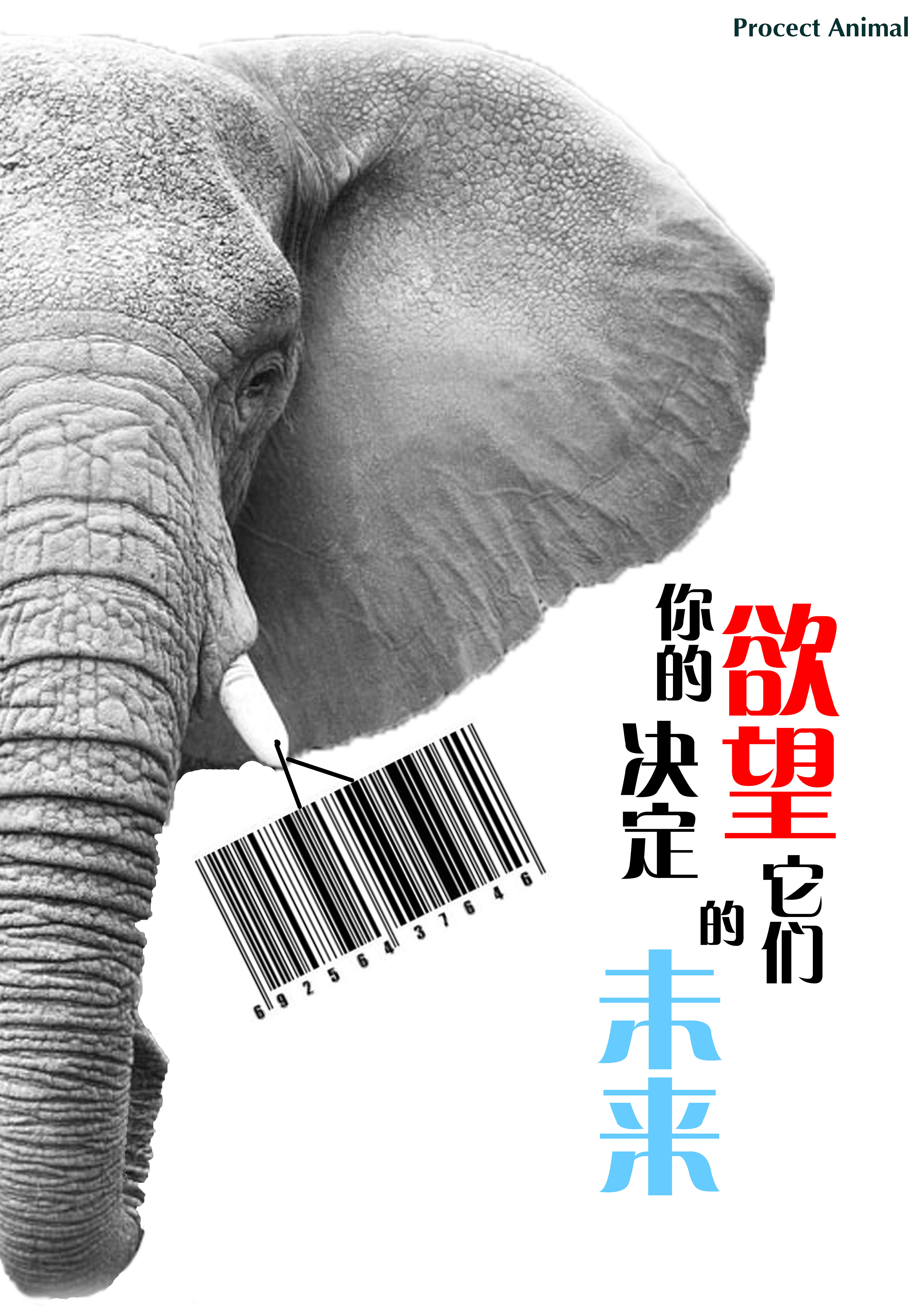 保护野生动物|平面|海报|_Luckyghj_ - 原创作品 - 站酷 (ZCOOL)