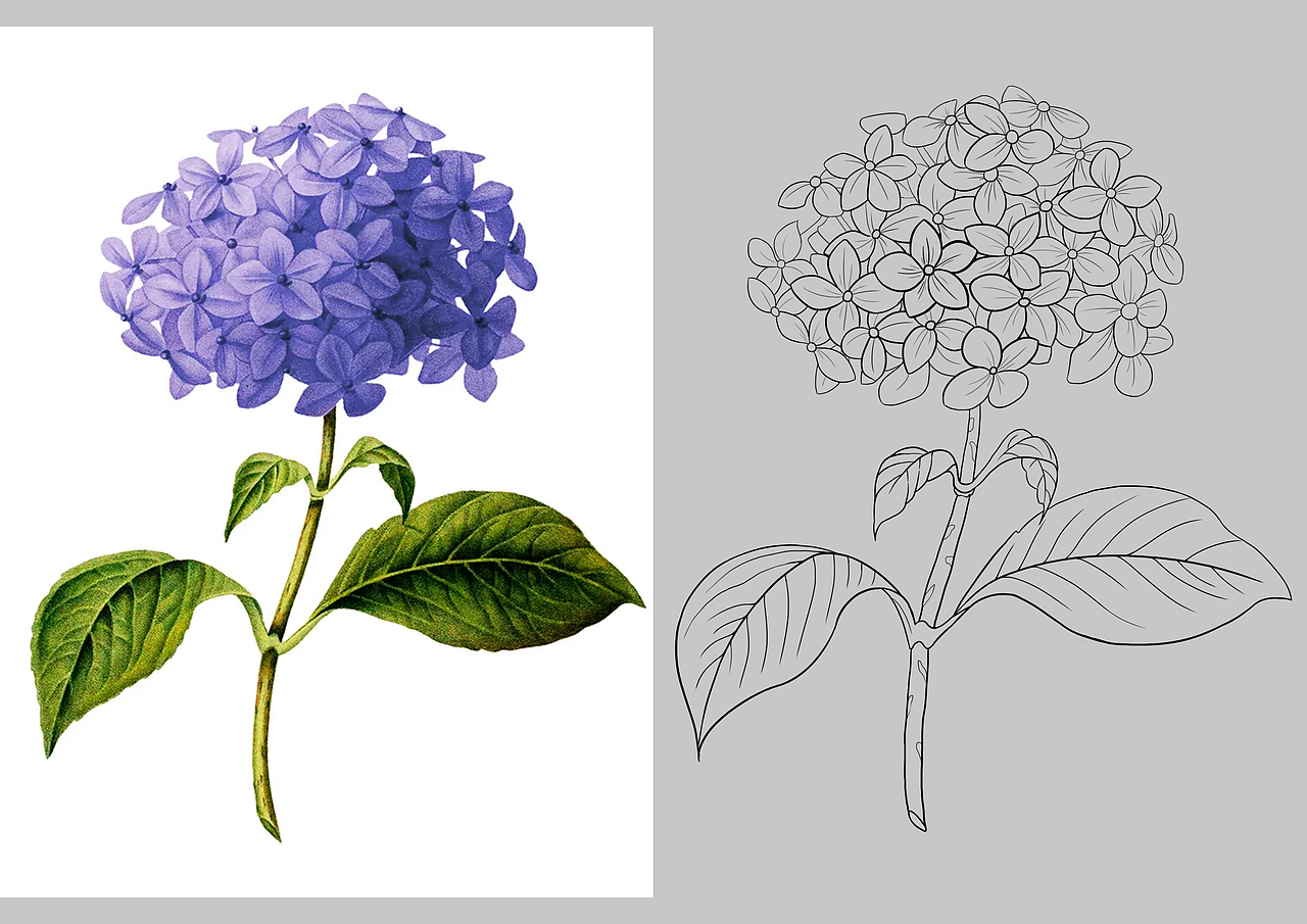 静物临摹练习（图ZMjU4ODAxNjA4） - 绘画 - 站酷设计师一更933原创素材 - 站酷ZCOOL