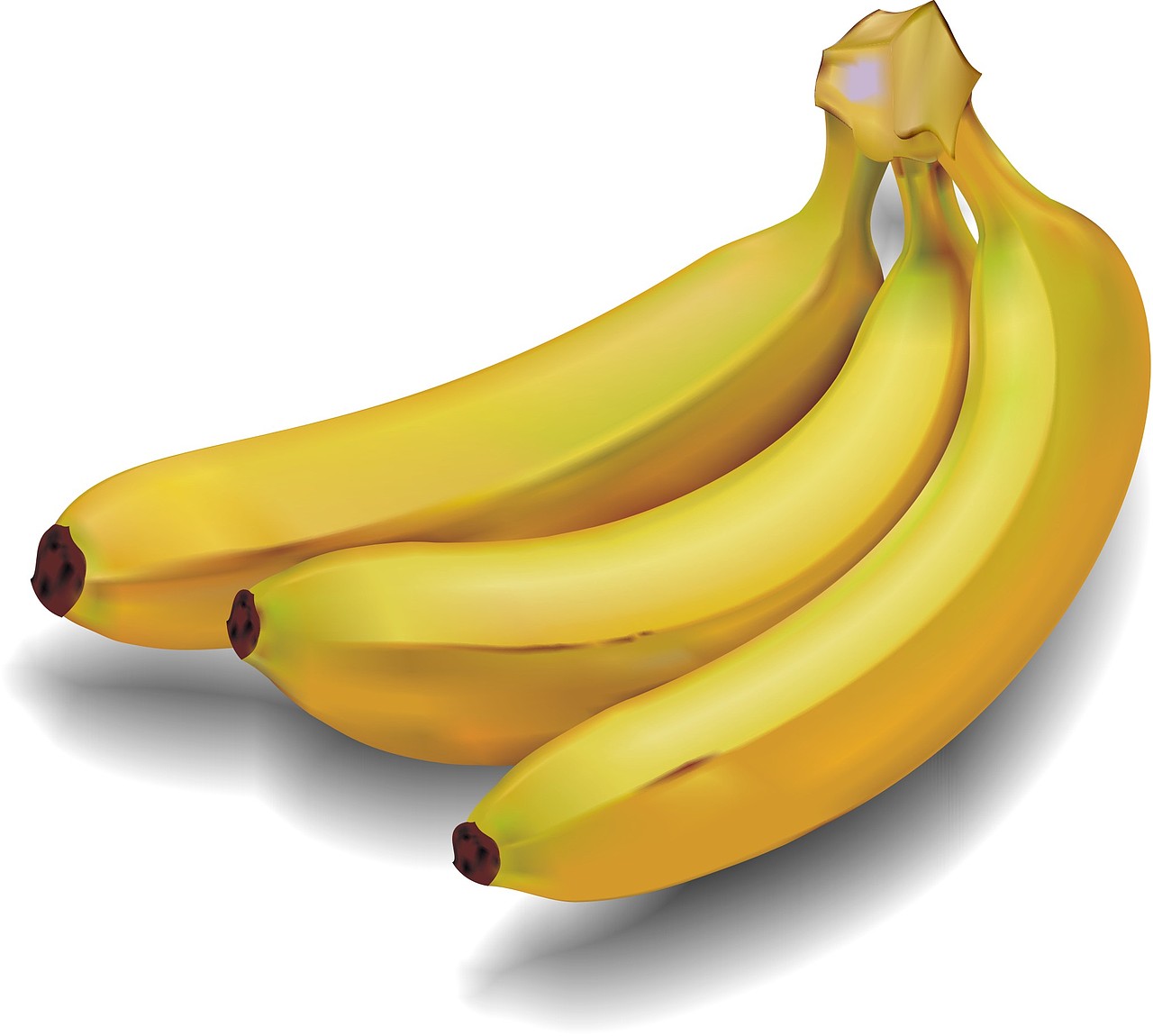 第一次用CDR做的banana（图ZOTc5ODg4NDQ=） - 图案 - 站酷设计师大大的Grace原创素材 - 站酷ZCOOL